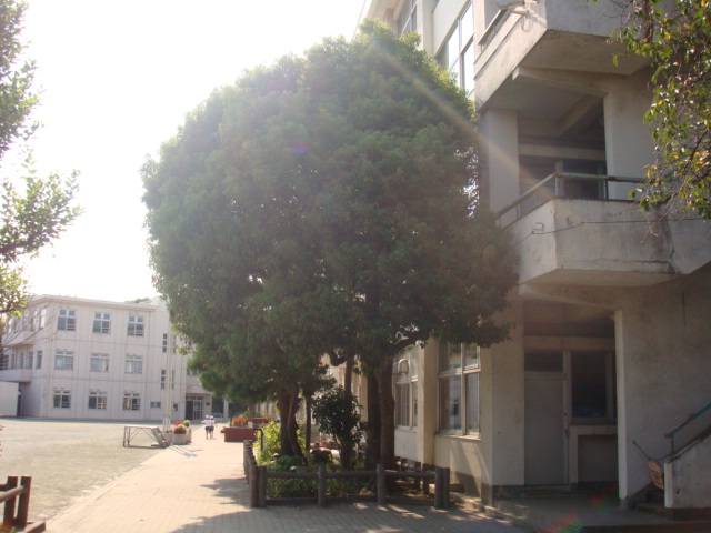 ヴェルージュ 羽村市立羽村東小学校まで539ｍ