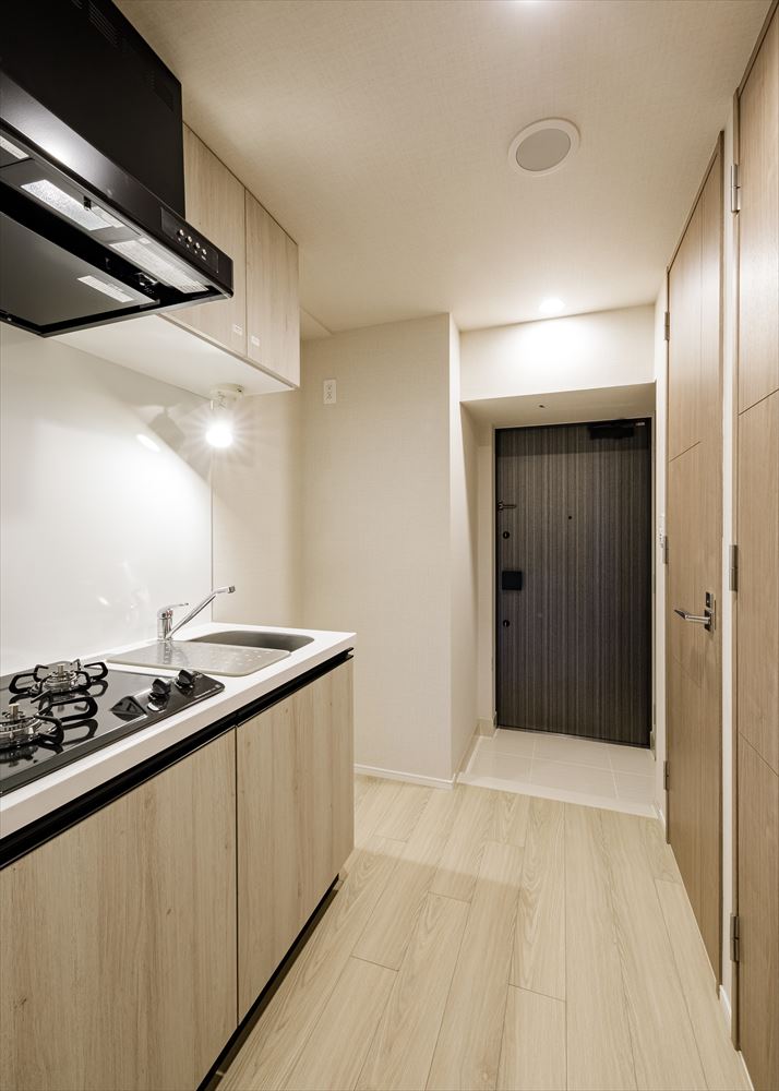 DIPS東十条駅前PREMIUM1201号室 キッチン