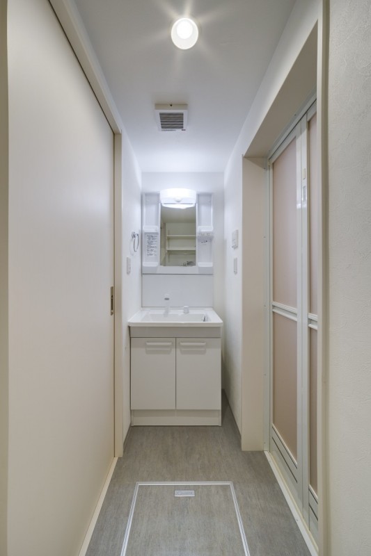 アクシス東大宮3階 洗面