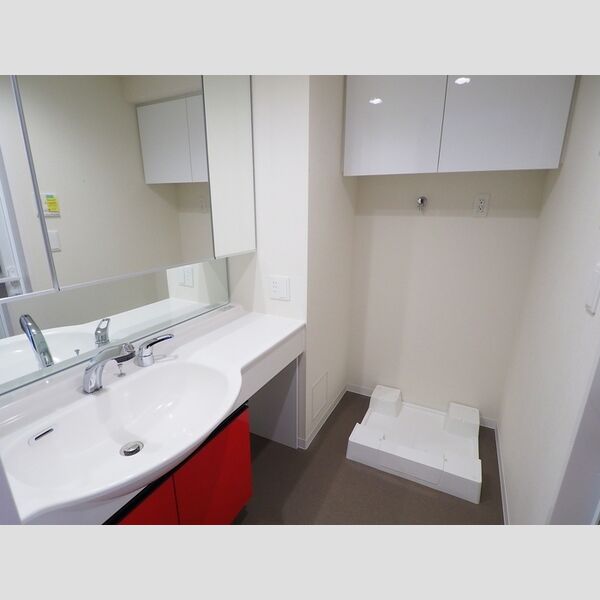 ロイジェントパークス千葉中央0311号室 洗面化粧台・洗濯機置き場