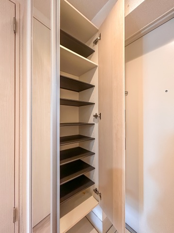 アイル グランデ川口314号室 シューズボックス