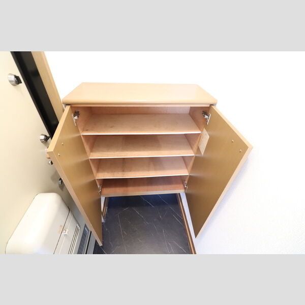 ハイツサンバレー105号室 シューズボックス