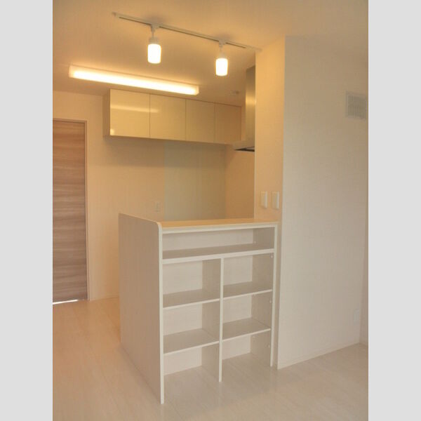 ラヴィタ　壱番館201号室 キッチン背面収納