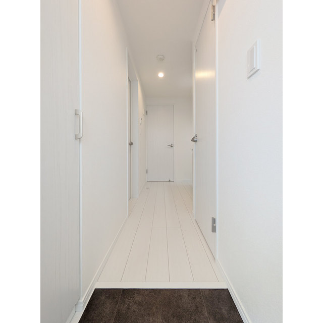 MQuarto柏Ⅲ205号室 玄関