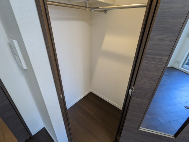 ケーディーエックスレジデンス豊洲432号室 収納