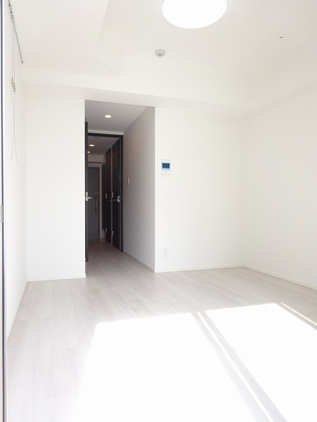 ザ・レジデンス・オブ・トーキョーＪＫ４０504号室 リビング