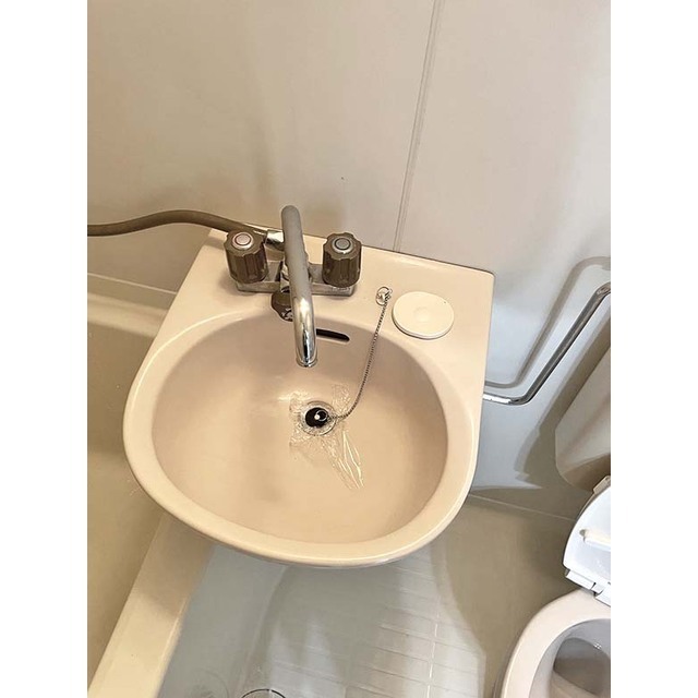 シルクハイツ103号室 洗面