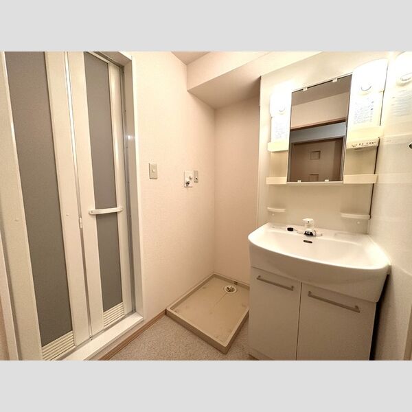 メゾンヴェールSYOEI202号室 洗面所