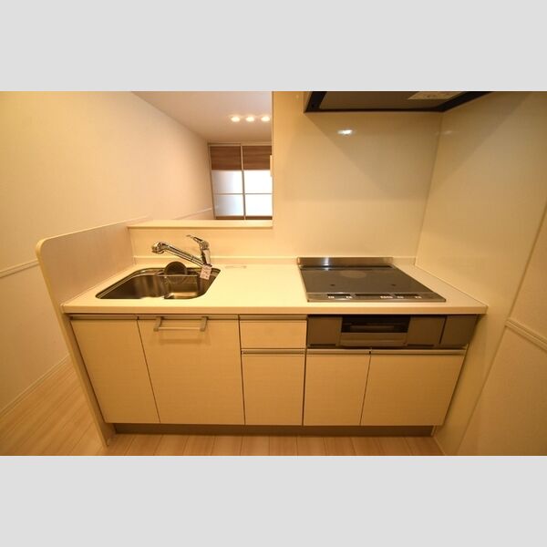 Dスクエア元本郷 対面式システムキッチン