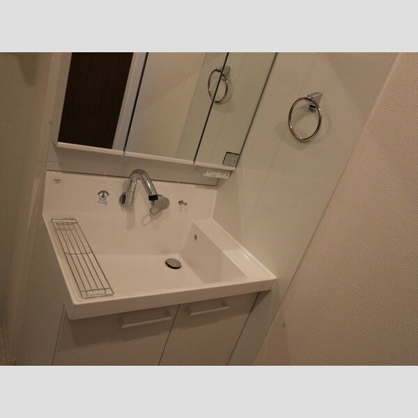 セレスト　弐番館101号室 洗面