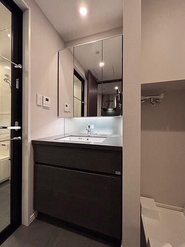 麻布台ヒルズレジデンスＢ29階 洗面