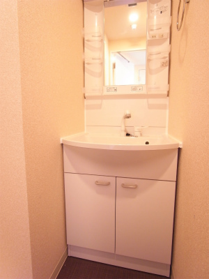 リブリ・First6階 洗面