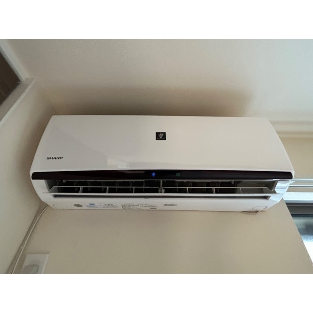 Le trefle～ル　トレッフル～202号室 部屋その他