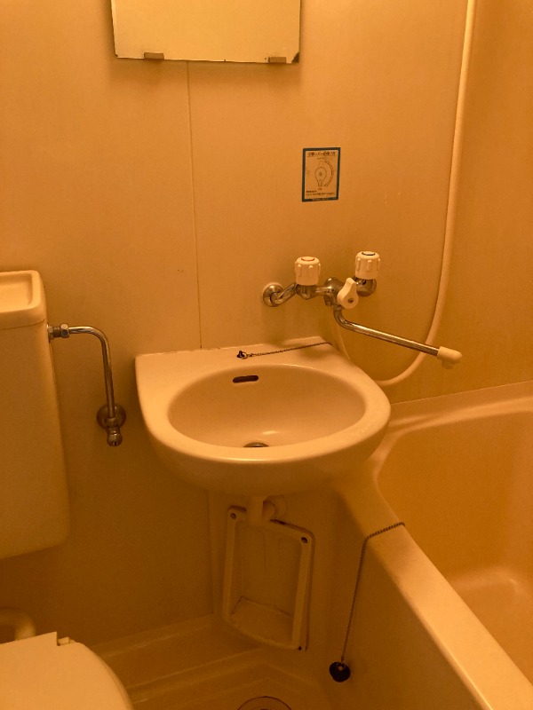 フローラ2階 洗面