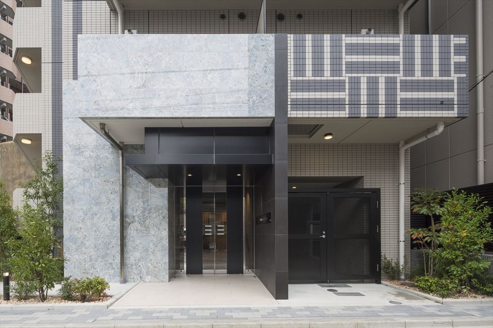 DIPS上野NORTH1001号室 エントランス