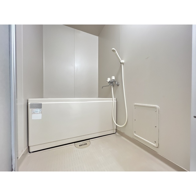 デルフィス梅ヶ丘 シンプルな浴室です