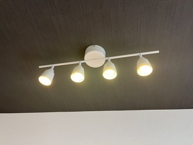 ライオンズマンション仲六郷3階 その他