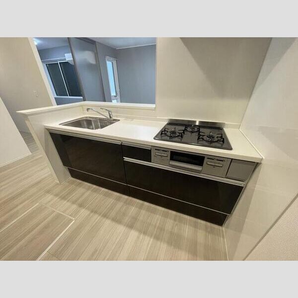 グラナーデ興野102号室 キッチン