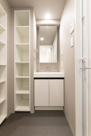 プラウドフラット墨田曳舟410号室 洗面