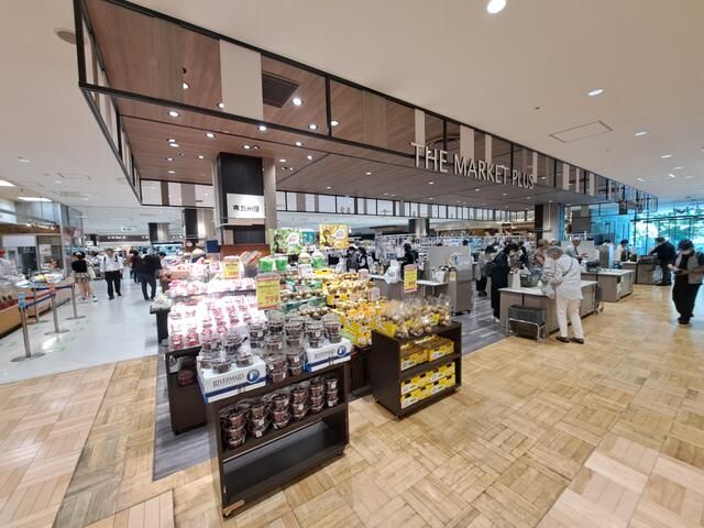 マークコート日吉 周辺