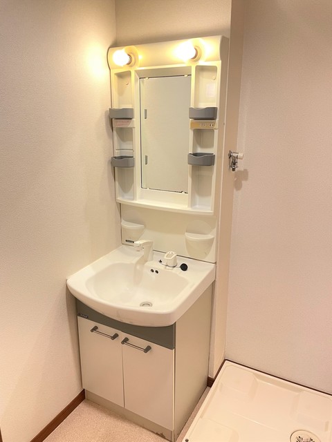 ステラ下北沢 洗面