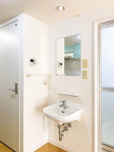 Ｗｉｓｔｅｒｉａ湘南0202号室 洗面