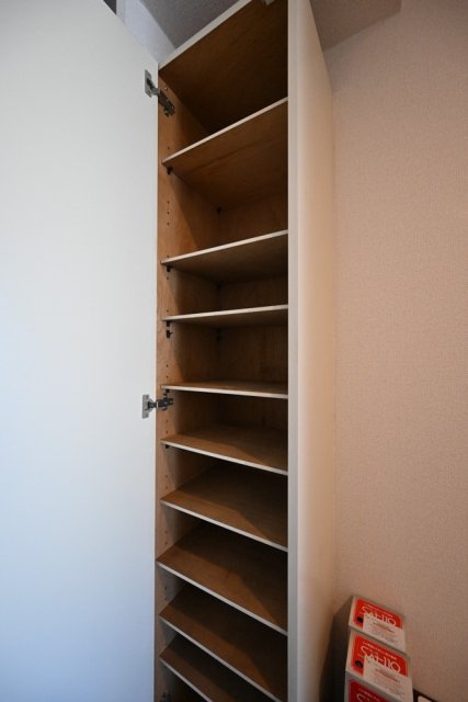 ワコーレ八幡山 収納