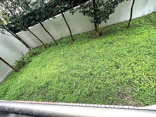 シャリエ練馬北町1階 専用庭　※前回募集時2022年9月撮影の写真