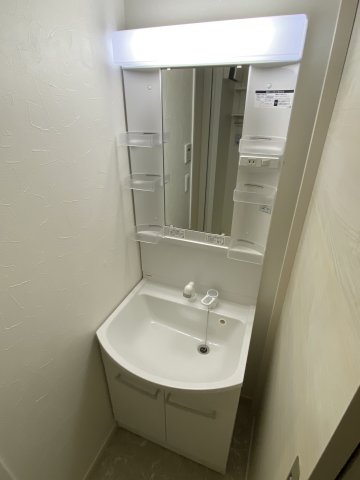アミスタ湘南0202号室 洗面