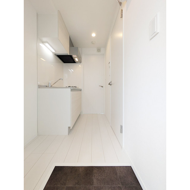 MQuarto柏Ⅲ201号室 玄関