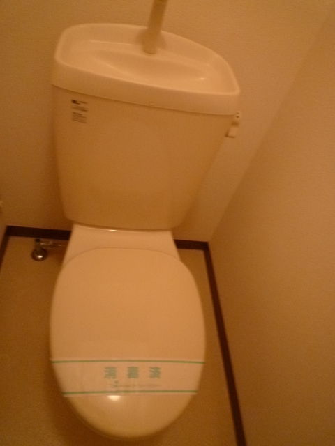 スカイハイツⅠ トイレ