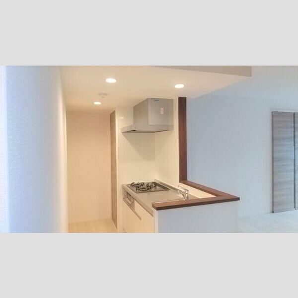 エクセリア滝野川101号室 キッチン