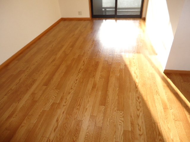 グレイスヴィラ湘南101号室 リビング・床