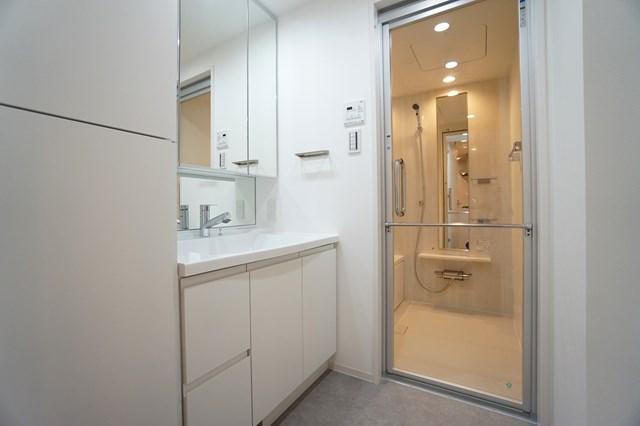 SYFORME江戸川橋11階 洗面所