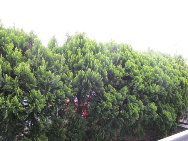 サンヴィアーレ・グランサージュ1階 ※同建物参考写真