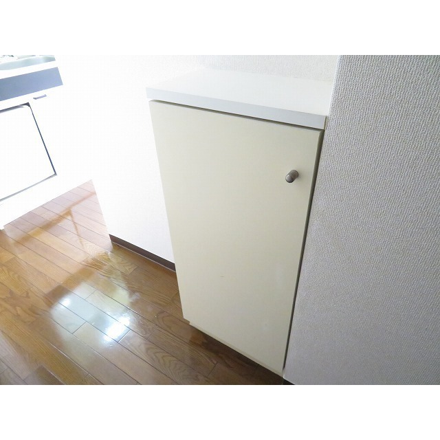 ダイホープラザ川崎 写真は他部屋