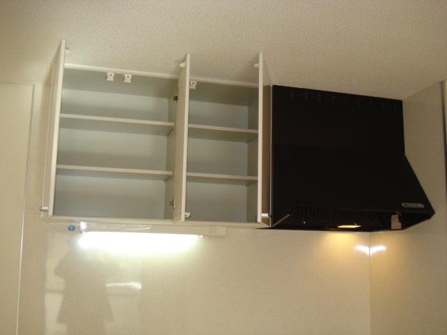 グリーンプレイス205号室 吊戸棚