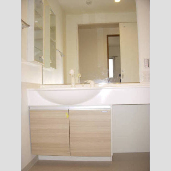 グランドール大岡山 グランドール大岡山403 洗面台