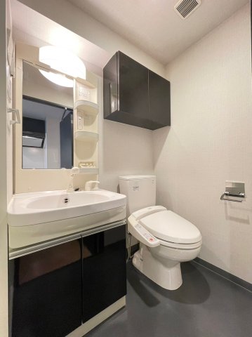 グラントゥルース田端501号室 洗面