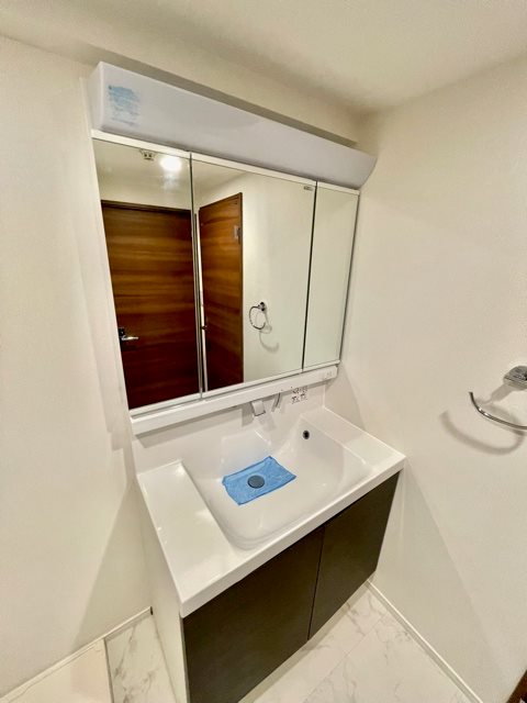 レジディア芝浦15階 洗面