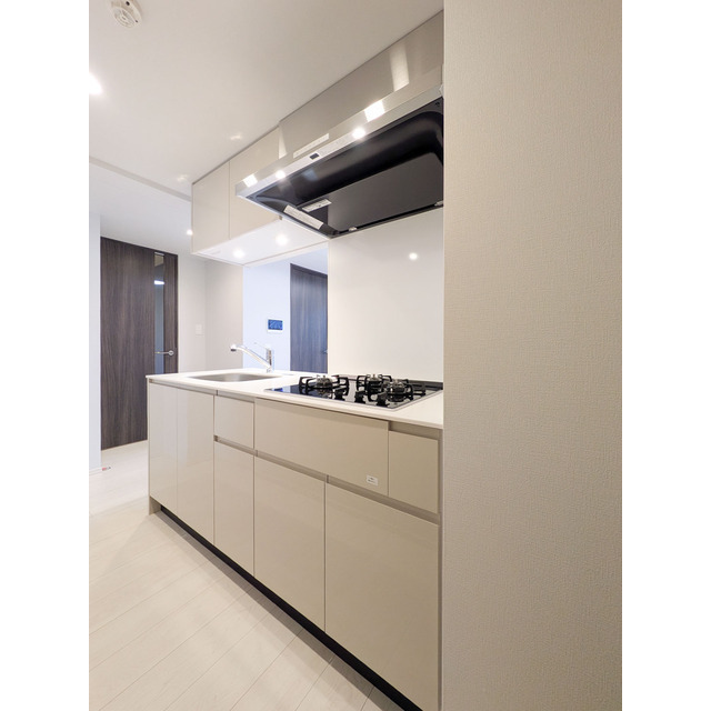 ACP Residence 新江古田0206号室 キッチン