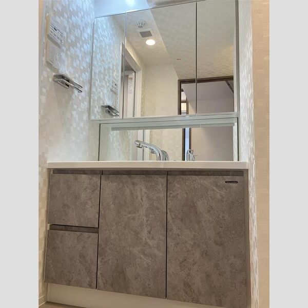 S-RESIDENCE瑞江702号室 洗面