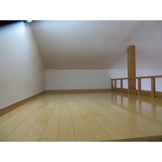 グリーンベル0001号室 ロフト