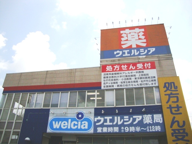 Ｆｅｌｉｃｉａ　ａｍｅｌｌｏｉｄｅｓ ウエルシア沼南店まで1,511ｍ