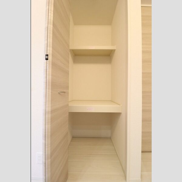 D-PRECIOUS武蔵野301号室 キッチン横物入