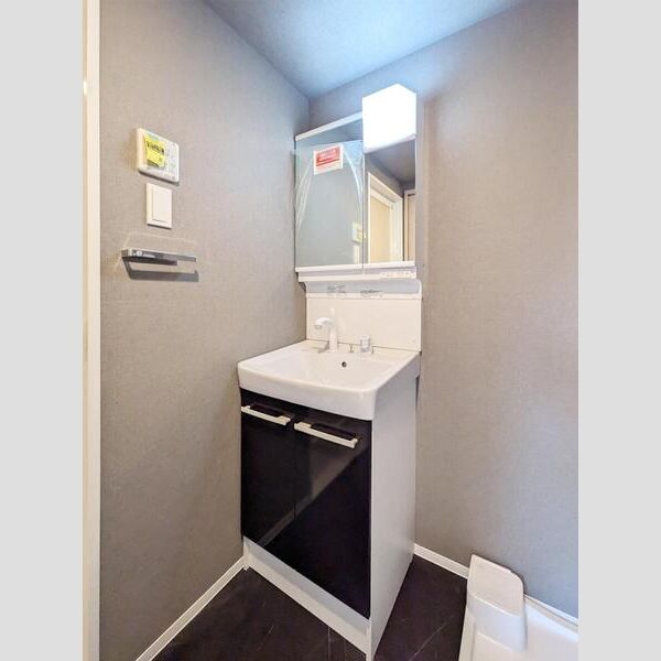 S-RESIDENCE大森bresa603号室 洗面