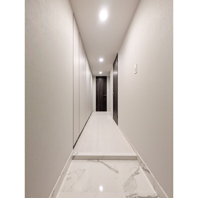 ACP Residence 新江古田0206号室 玄関