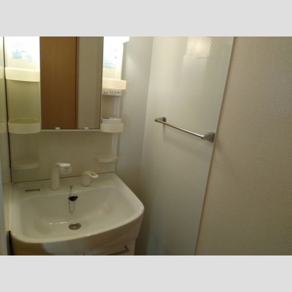 Grace　Garden(グレイスガーデン)A103号室 シャンプードレッサー