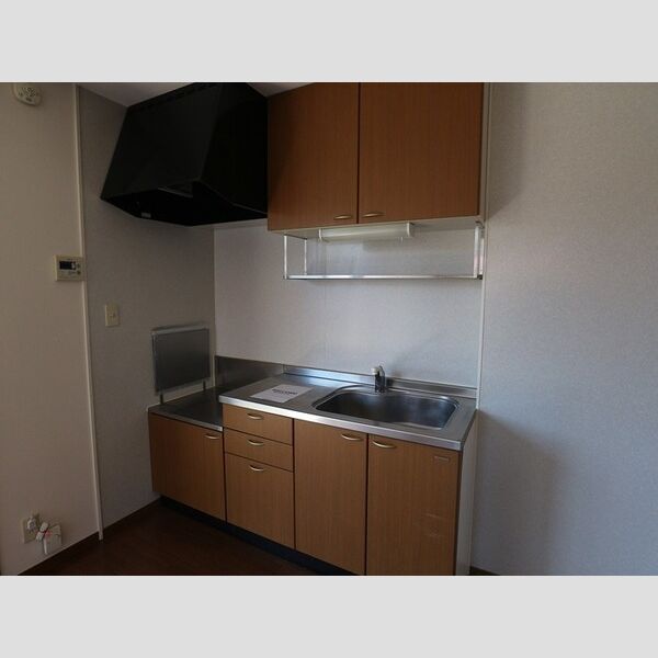 Family Court　C102号室 段落ちキッチン