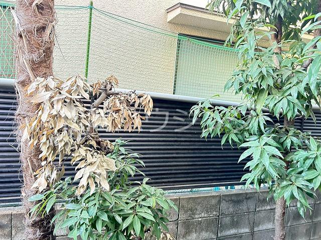 マインハウゼ1階 部屋その他